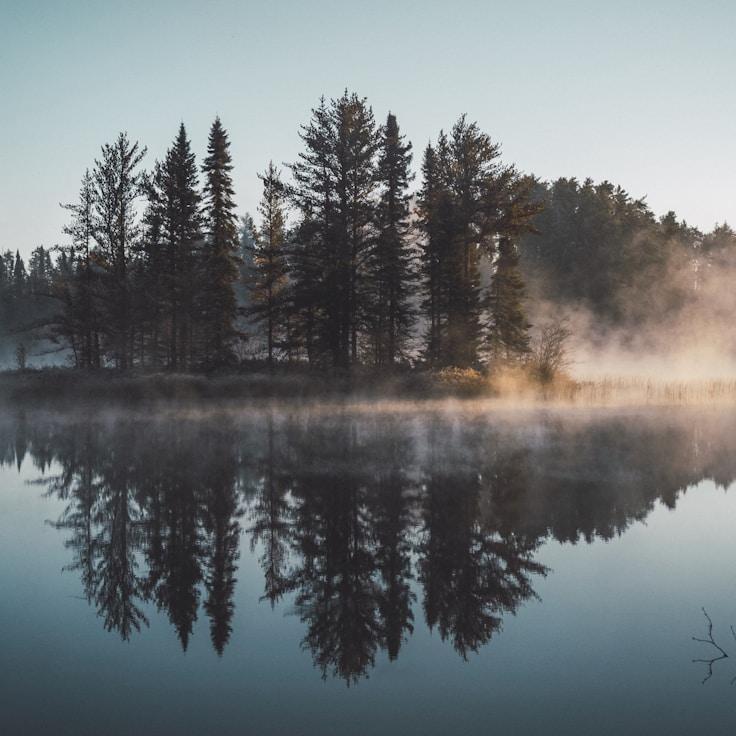 Overview of protected areas